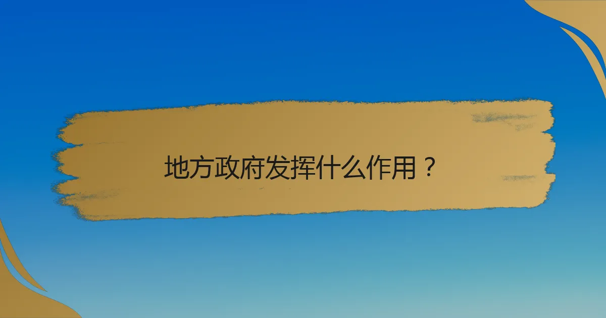 地方政府发挥什么作用？