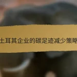 土耳其企业的碳足迹减少策略