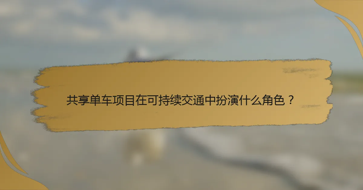 共享单车项目在可持续交通中扮演什么角色？