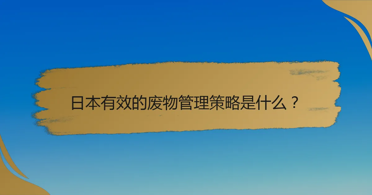 日本有效的废物管理策略是什么？
