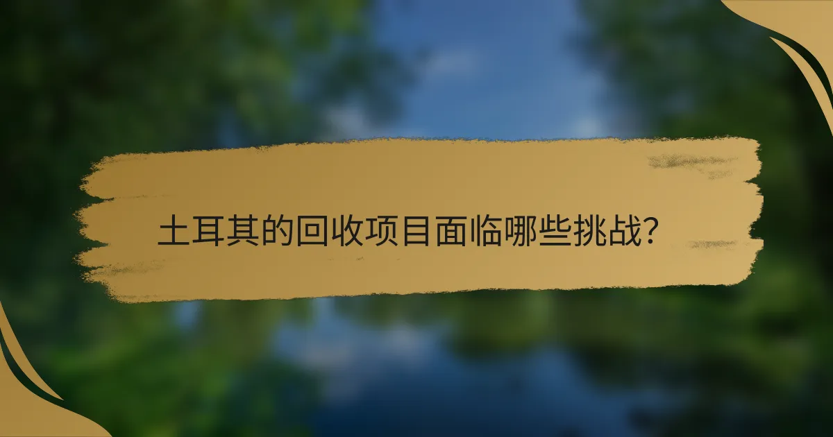 土耳其的回收项目面临哪些挑战?