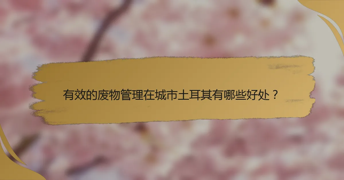 有效的废物管理在城市土耳其有哪些好处?