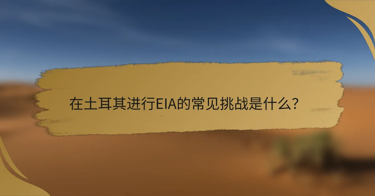 在土耳其进行EIA的常见挑战是什么?