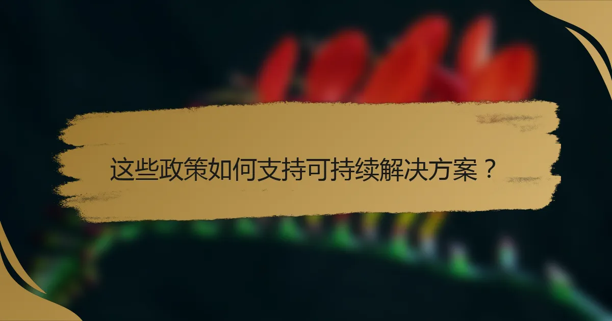 这些政策如何支持可持续解决方案?