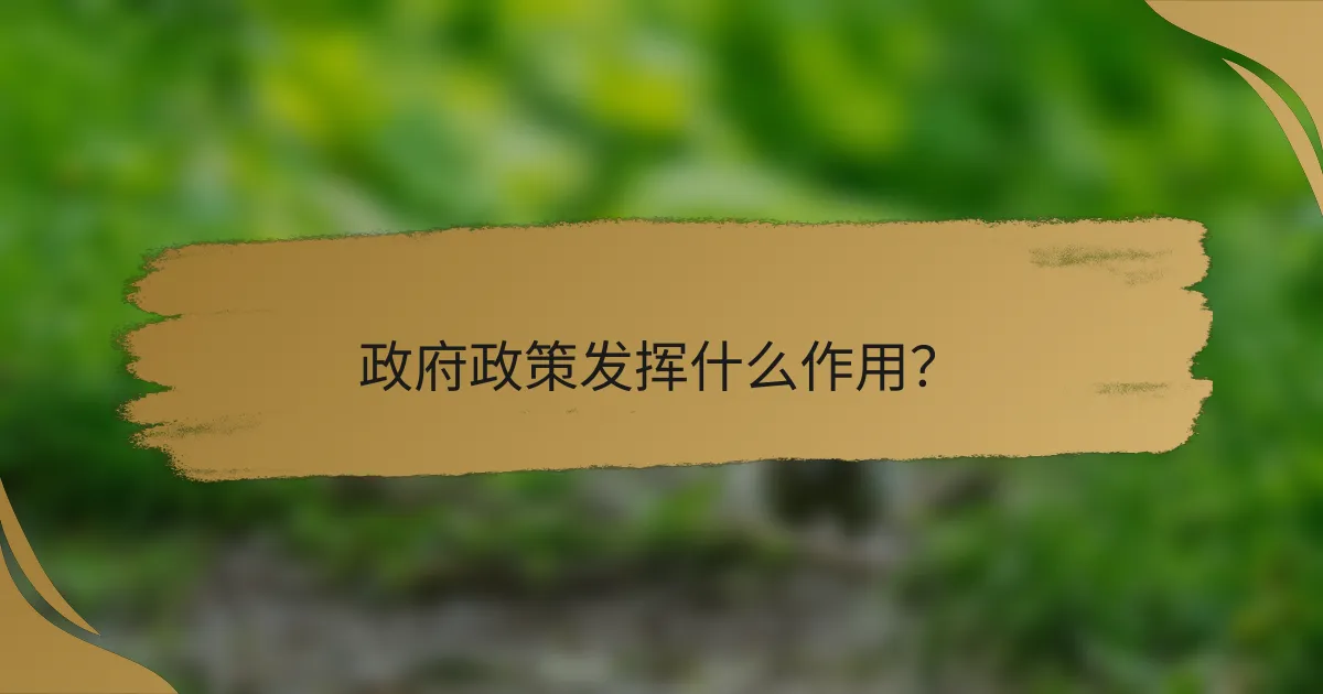 政府政策发挥什么作用？
