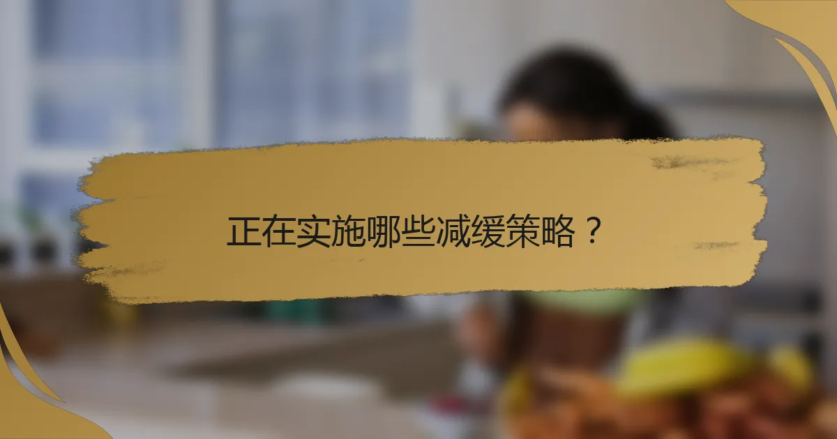 正在实施哪些减缓策略？