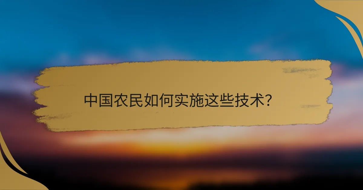 中国农民如何实施这些技术？