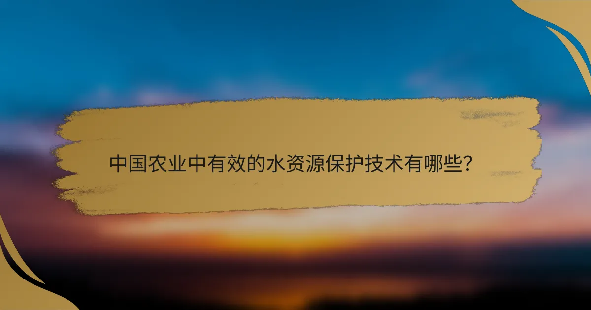 中国农业中有效的水资源保护技术有哪些？
