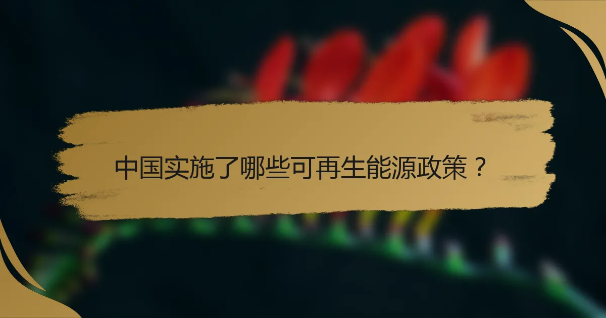中国实施了哪些可再生能源政策?