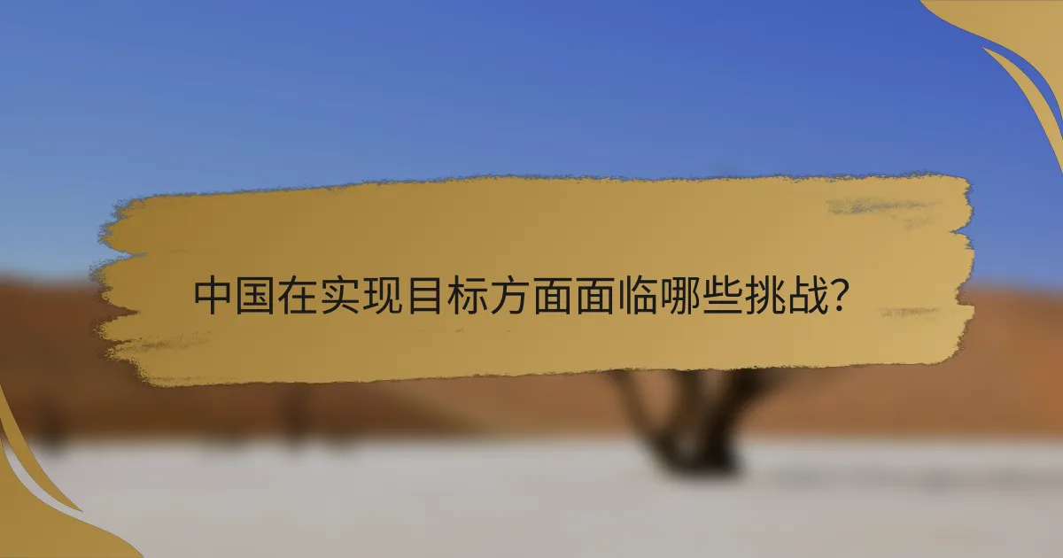 中国在实现目标方面面临哪些挑战?